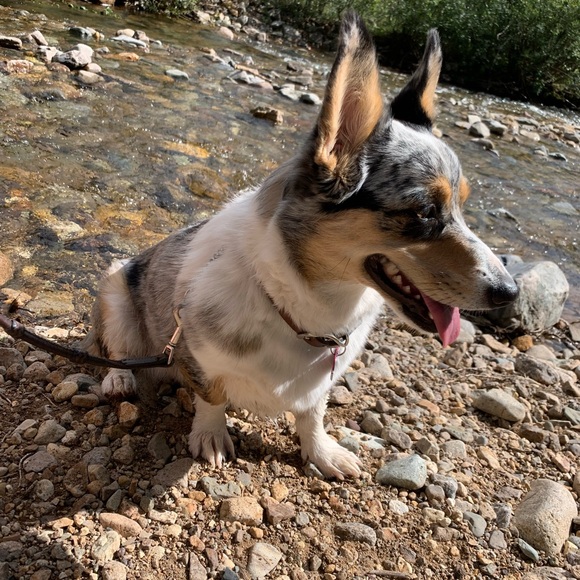 Meet your Posher - Picture 3 of 14